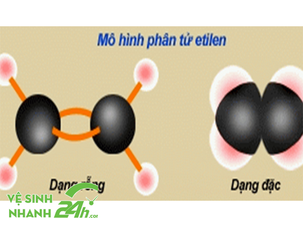 Tổng hợp 81 hình về mô hình phân tử etilen  daotaonec